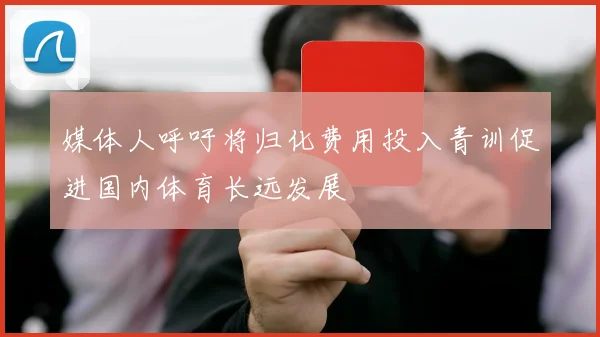 媒体人呼吁将归化费用投入青训促进国内体育长远发展