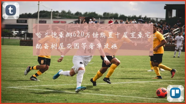 哈兰德豪掷620万镑购置十居室豪宅配备树屋花园等奢华设施