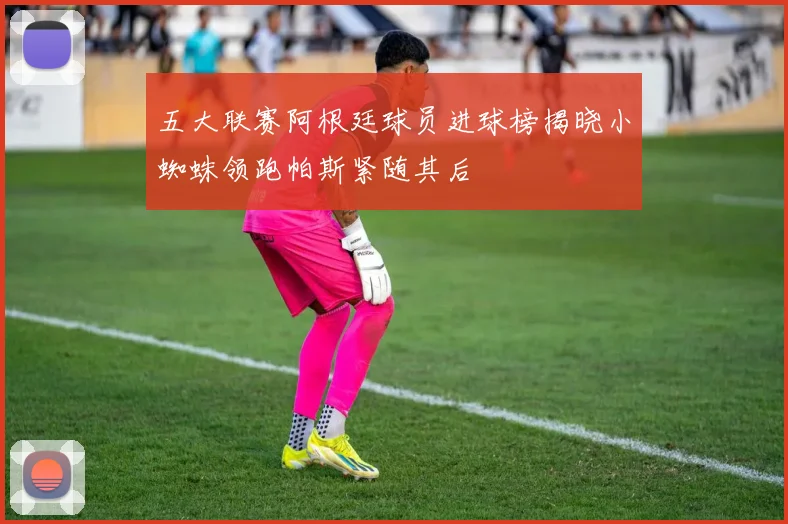 五大联赛阿根廷球员进球榜揭晓小蜘蛛领跑帕斯紧随其后